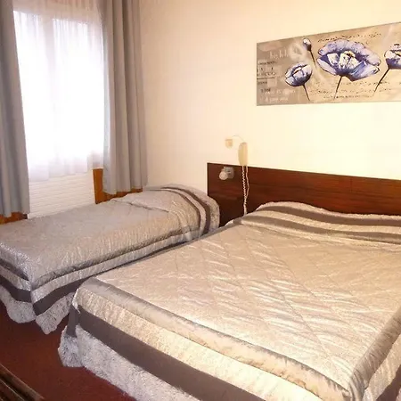 Hotel De Costaroche Albertville